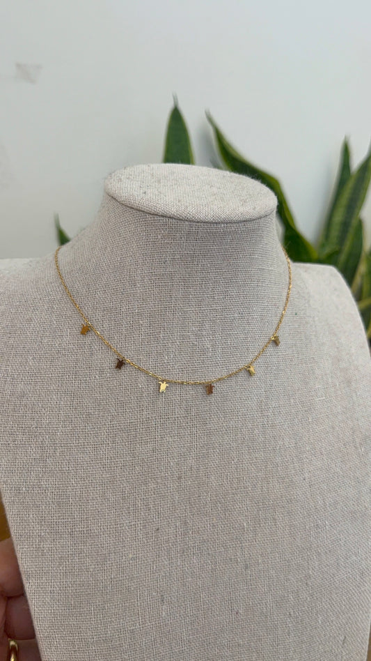 Collar Tortuguitas